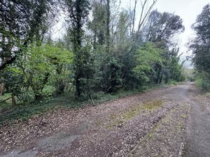 Photo 4- click for photo gallery